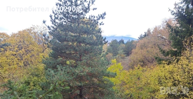 Продава къща в с.Плана, снимка 7 - Къщи - 53912542