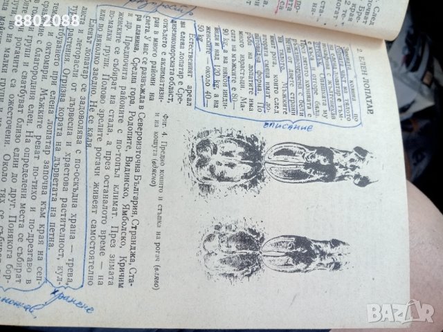 Учебник за кандидат ловеца, снимка 1