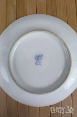 Сервиз за 6 човека - Carl Tielsch, снимка 10 - Сервизи - 49653449