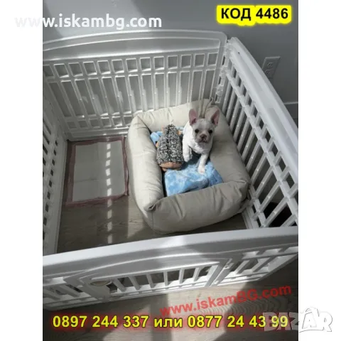 Пластмасова кошара за кучета 4 панела – 91×91×60 см - КОД 4486, снимка 6 - За кучета - 50337869