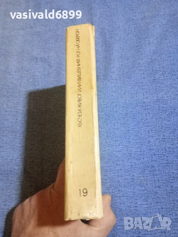 Валентин Катаев - Късчета живот или вълшебният рог на Оберон , снимка 2 - Художествена литература - 54183443