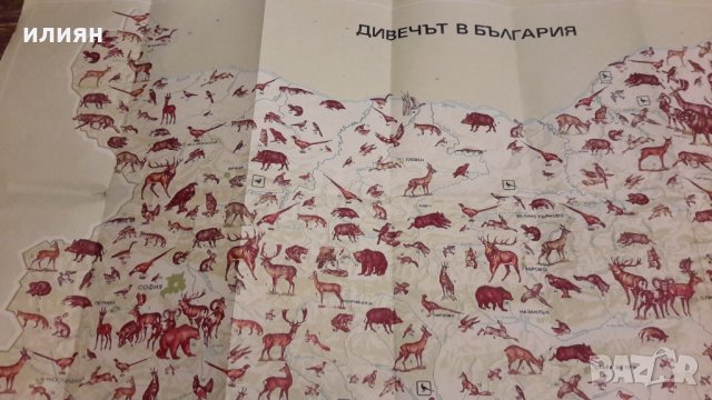 Карта на животните във България , снимка 2 - Енциклопедии, справочници - 31483482