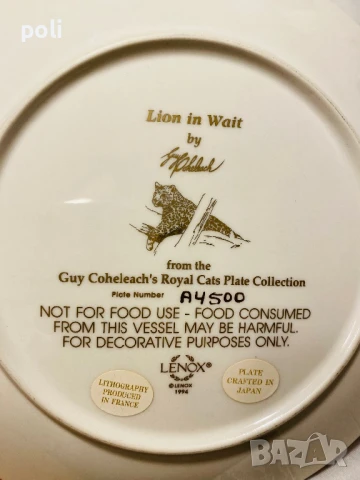 порцеланова чиния за стена , снимка 4 - Декорация за дома - 50807751