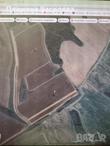 Земеделска земя в землището на с. Сумер, снимка 2 - Земеделска земя - 53992093