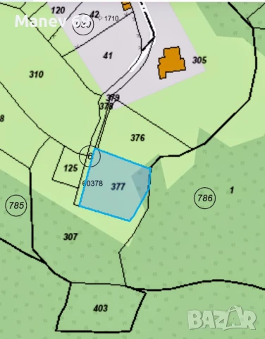 Продавам парцел в Родопите  с.Габрица.🌲, снимка 2 - Парцели - 50738610