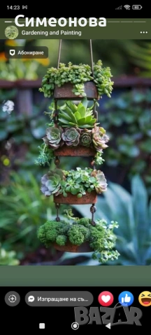 Почистване и подръжка на домове и дворове , снимка 9 - Хигиенисти и миячи - 53954902