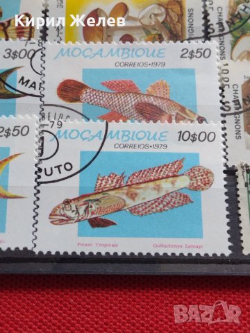Пощенски марки смесени серий РИБИ,ГЪБИ редки за КОЛЕКЦИЯ 33346, снимка 4 - Филателия - 40422601