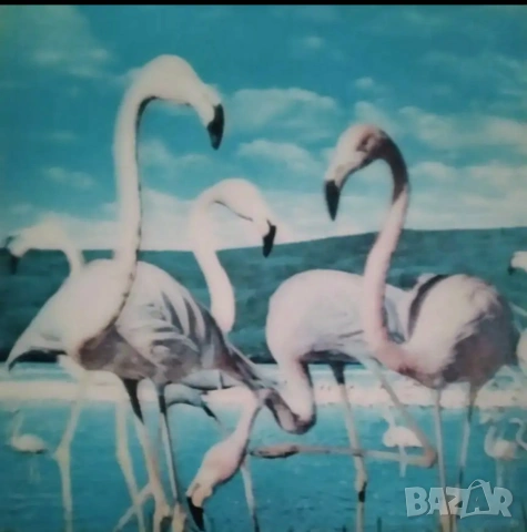 Картички 3D, снимка 3 - Колекции - 53364134