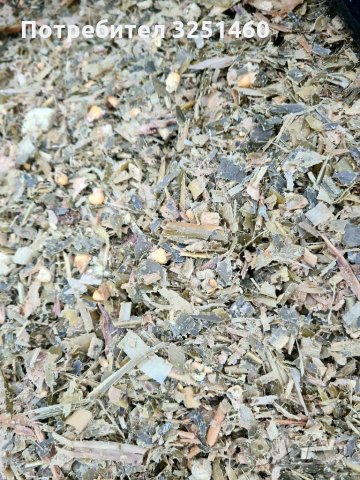 Царевичен силаж, снимка 4 - Крави - 35043966