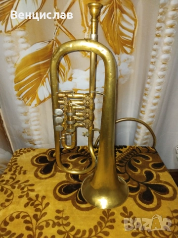 Флигорна  Weltklang