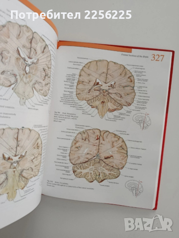 Атлас по човешка анатомия ( том-1) Глава,врат,горен крайник, снимка 4 - Енциклопедии, справочници - 52470968