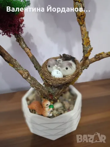 дръвчета със скандинавски мъх , снимка 7 - Декорация за дома - 49492584