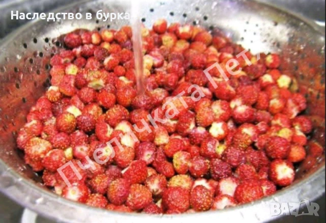 Вкусен, домашен сироп от горски ягоди, снимка 2 - Домашни продукти - 53169064