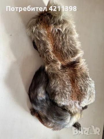 Лисица естествена кожа Яка, снимка 7 - Други - 49578837