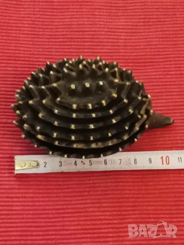 Стари дизайнерски пепелници, Таралежи в стил Валтер Босе. , снимка 7 - Колекции - 48599829