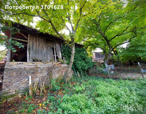 Продава къща село Орешак, обл. Ловеч, снимка 15 - Къщи - 51104582