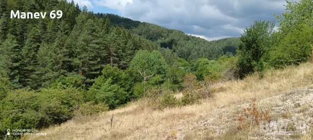 Продавам парцел в Родопите  с.Габрица.🌲, снимка 5 - Парцели - 50738610