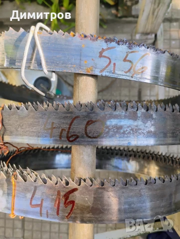 Банцигова лента, снимка 1