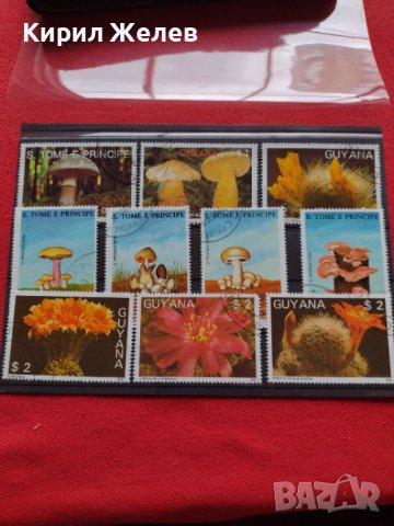 Пощенски марки серия Растения, Гъби стари редки за колекция декорация - 22024