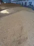 Царевица за животни , снимка 2