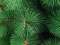 Коледни елхи с шишарки и сняг - ТОП качество и цена ! ! !, снимка 7