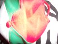 Шапка с Козирка Нова с Българския Трибагреник с Българското знаме и надпис България, снимка 2
