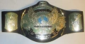 Шампионски пояс WWE Winged Eagle Championship WWF световната титла в кеча Mattel детски belt колан, снимка 5