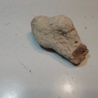 Камък вкаменелост , снимка 1 - Антикварни и старинни предмети - 42708231