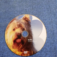 DVD филм "Боби", снимка 4 - DVD филми - 44596831