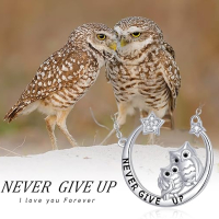 KINGWHYTE Дамско сребърно колие с две сови и надпис Never give up, снимка 5 - Колиета, медальони, синджири - 44742385