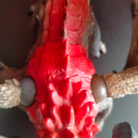 Колекционерска фигурка Schleich Dragon Battering Ram Дракон таран 70511 2014г, снимка 12 - Колекции - 44820356
