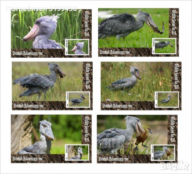 Чисти блокове Фауна Птици Китоглава чапла 2020 от Тонго, снимка 1
