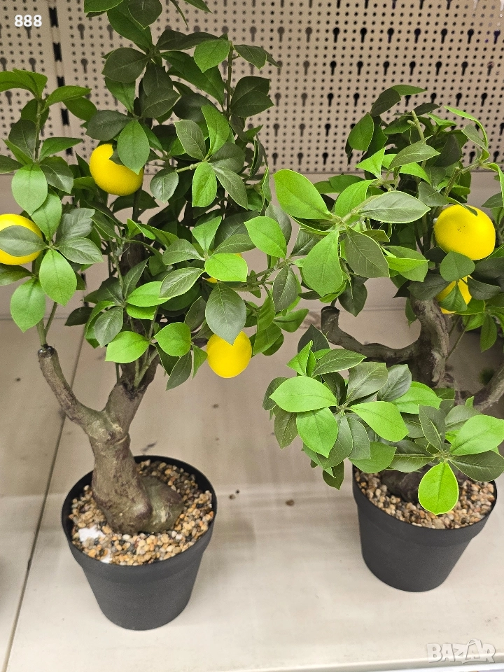 изкуствени дръвчета лимон, снимка 1
