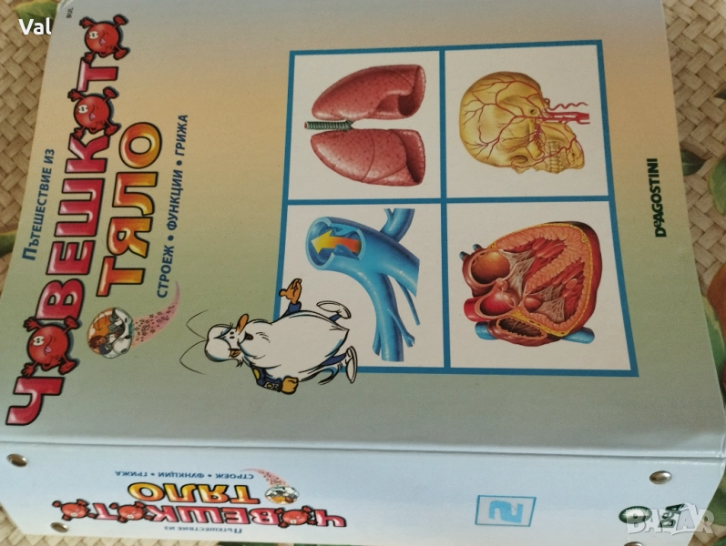 Поредица Пътешествие из Човешкото тяло, снимка 1