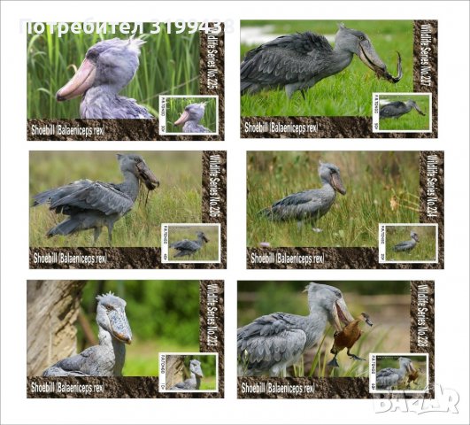 Чисти блокове Фауна Птици Китоглава чапла 2020 от Тонго, снимка 1