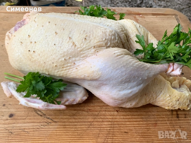 Патици,Пуйки , снимка 6 - Патици и гъски - 51881612