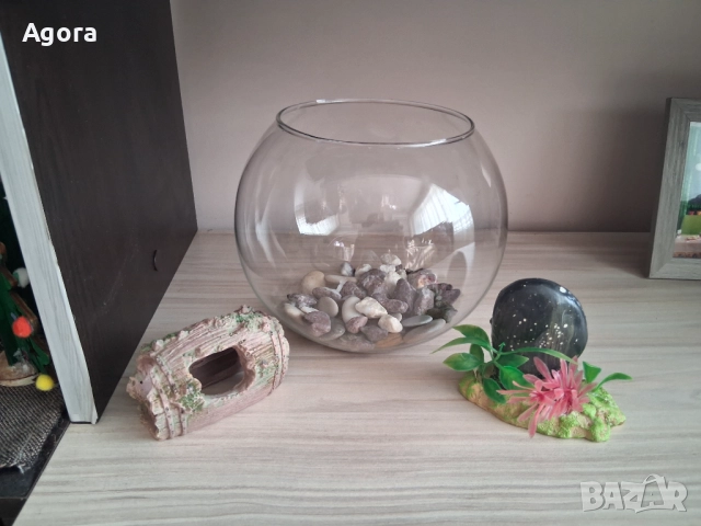 Аквариум ,сфера