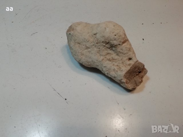Камък вкаменелост 