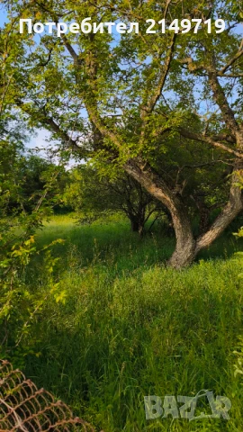 Парцел в село Горни Романци, снимка 2 - Парцели - 50532444
