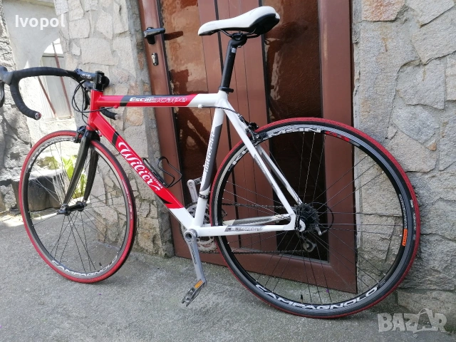Wilier Trestina, Full Campagnolo , снимка 7 - Велосипеди - 54315405