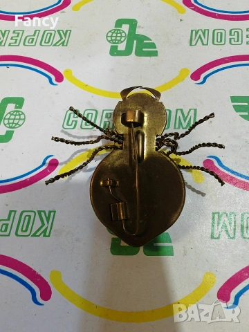 Брошка от индийски ахат , снимка 6 - Други - 53358610