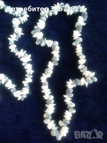 Гердани,Кубински,Редки Морски Раковини, снимка 3 - Колиета, медальони, синджири - 51310916