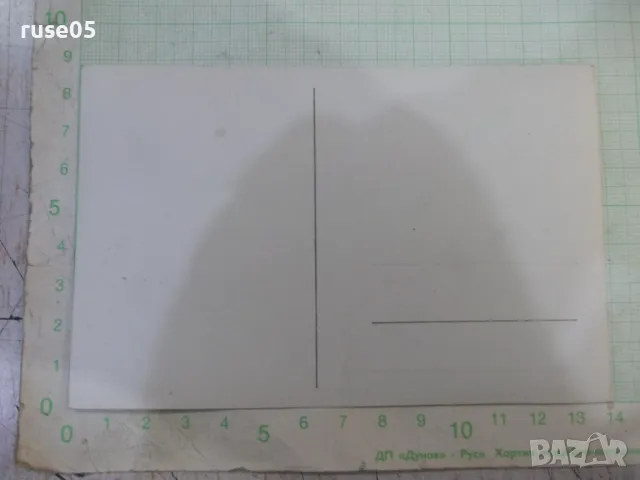 Снимка стара на група младежи сред природата, снимка 2 - Колекции - 47906756