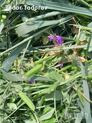 Бали сено и смеска, снимка 3 - За селскостопански - 50527811