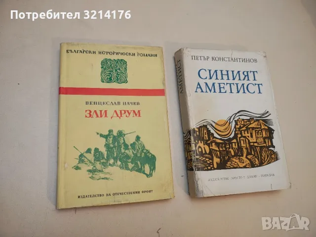 В лабиринта - Стефан Дичев, снимка 2 - Българска литература - 49880105