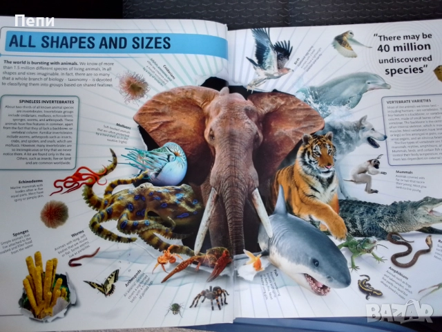 Супер Животните.Твърда корица, снимка 8 - Енциклопедии, справочници - 51723449