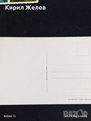 Четири пощенски картички ЮЖНА АФРИКА, АЛИКАНТЕ,РИМ за КОЛЕКЦИЯ 5920, снимка 10 - Филателия - 51700380