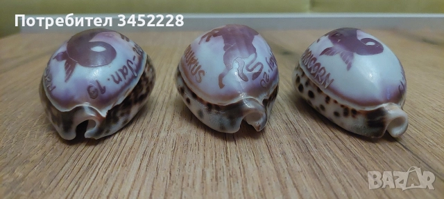 раковини гравирани три броя за ценители , снимка 4 - Декорация за дома - 52665846