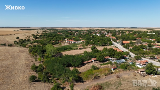 Стара къща в село Сокол, обл. Силистра , снимка 13 - Къщи - 45406043