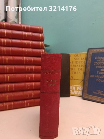 Зимуване всред ледовете - Жул Верн (Луксозна изработка), снимка 5 - Художествена литература - 52692168